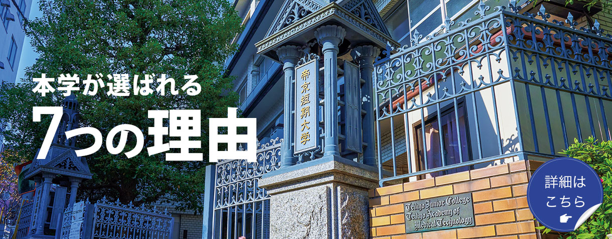 5大特長